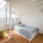 Casa Ballena Dom wakacyjny *