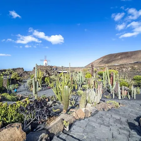 Casa Ballena Casa vacanze Punta Mujeres